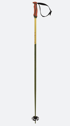 Volkl Phantastick Green Ski Pole - Gear West