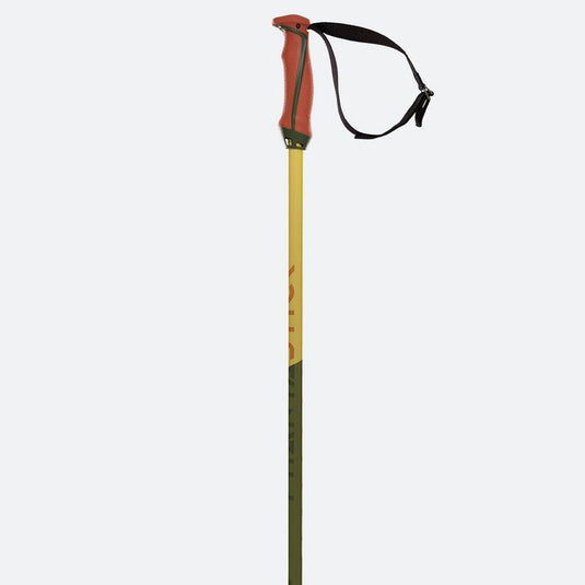 Volkl Phantastick Green Ski Pole - Gear West